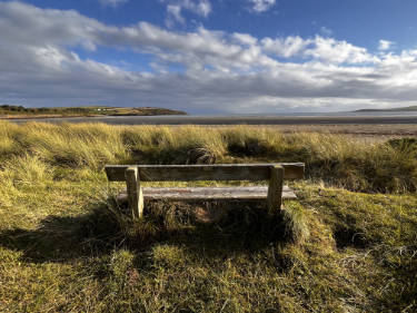 Bench in the dunes at Harbour View beach